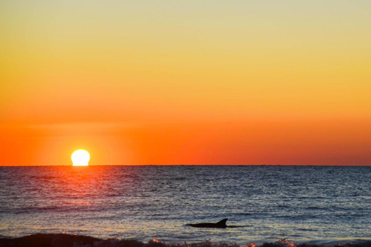Sea Cloisters 409 Διαμέρισμα Hilton Head Island Εξωτερικό φωτογραφία